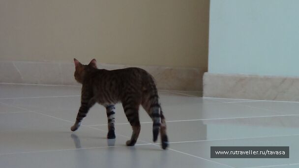 photo 568522