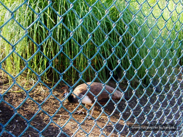 photo 604490