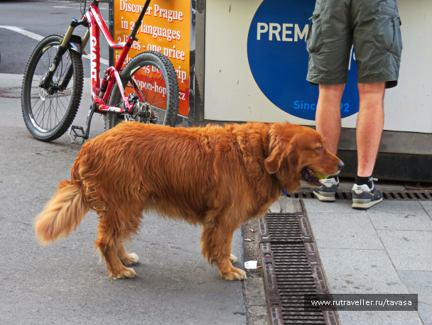 photo 1859141