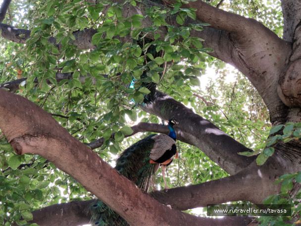 photo 1860516