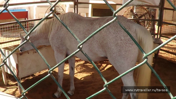 photo 479262