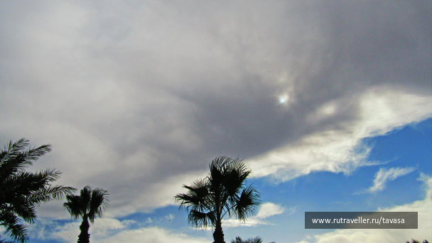 photo 1854618