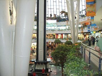 photo 813080