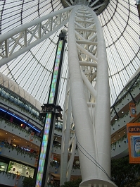 photo 813081