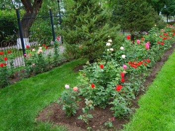 photo 821701