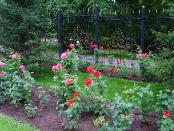 photo 821702