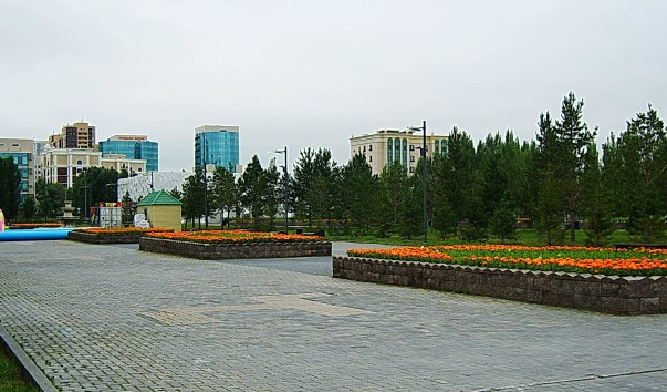 S8303186