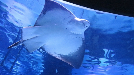 photo 876311