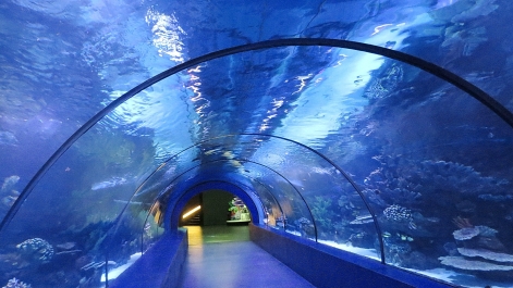 photo 876314