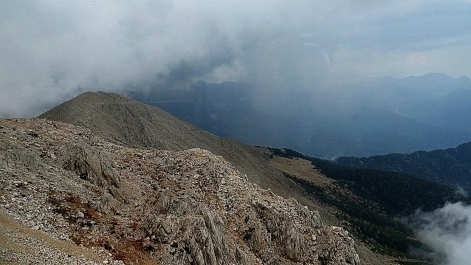 photo 880305
