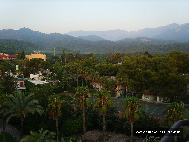 photo 991733