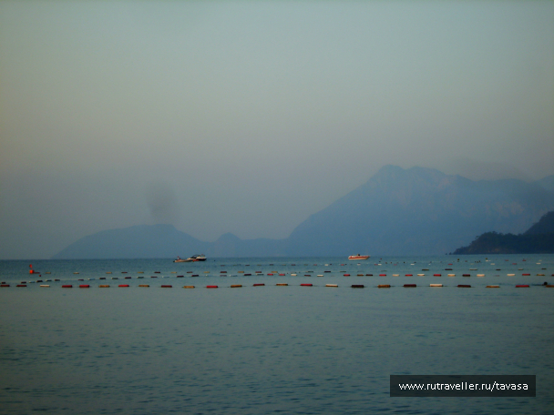 photo 991744