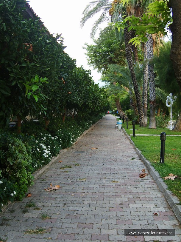 photo 992325