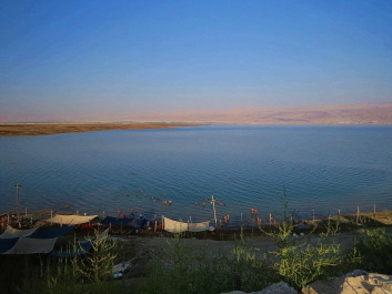 photo 1132319