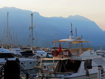 photo 1214288