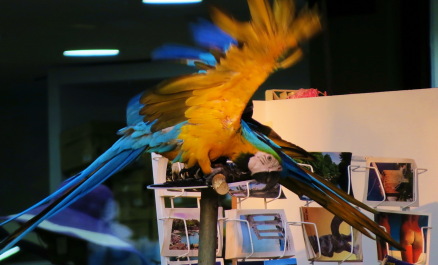 photo 1225070