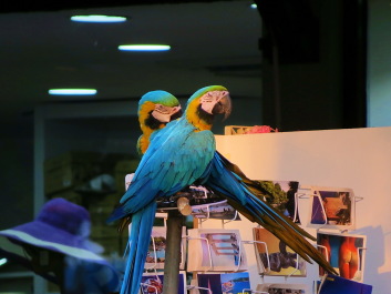 photo 1225071