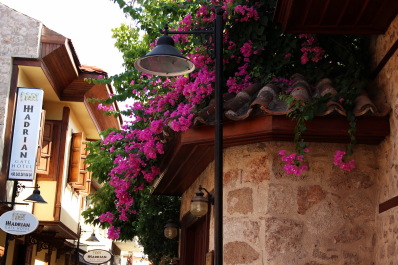 photo 1233523