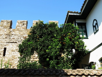 photo 1263143