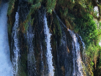 photo 1267402