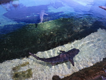 photo 1253424