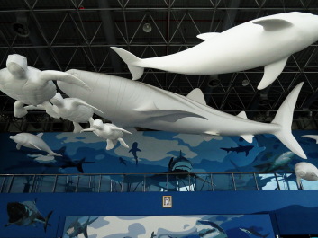 photo 1253425