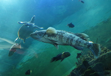 photo 1264328