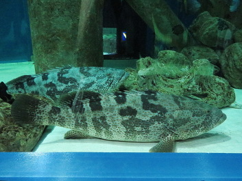 photo 1264331