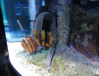 photo 1266331