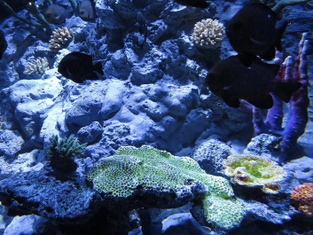 photo 1271141
