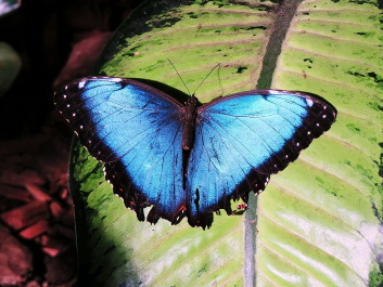 photo 1258731