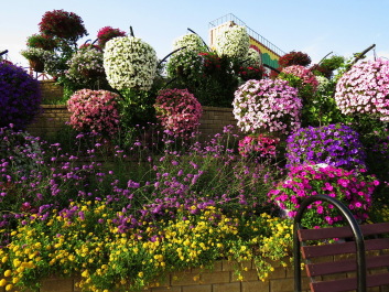 photo 1262410