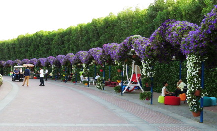 photo 1276257