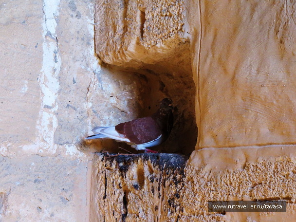 photo 1398390