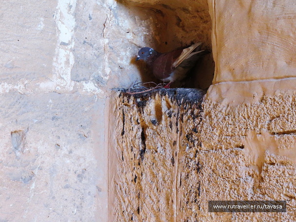 photo 1401067