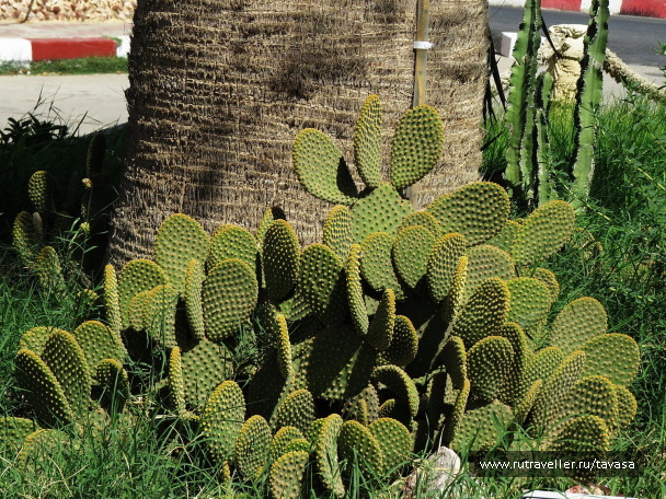 photo 1417702