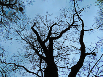 photo 1483484