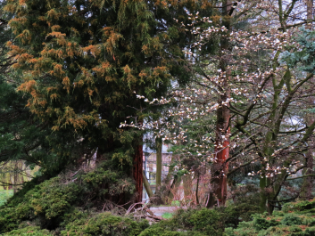 photo 1486064