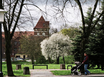 photo 1487854