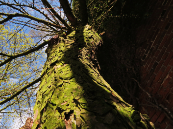photo 1498189