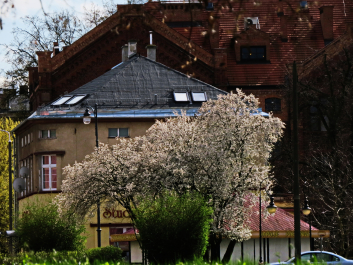 photo 1515121