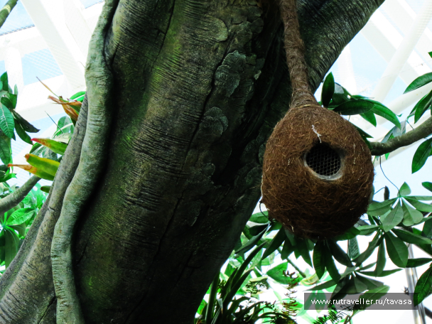 photo 1588315