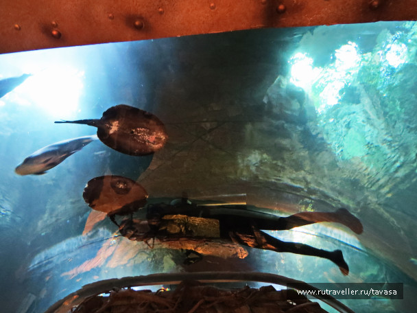 photo 1588318