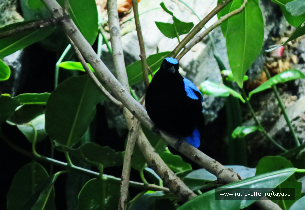 photo 1590458
