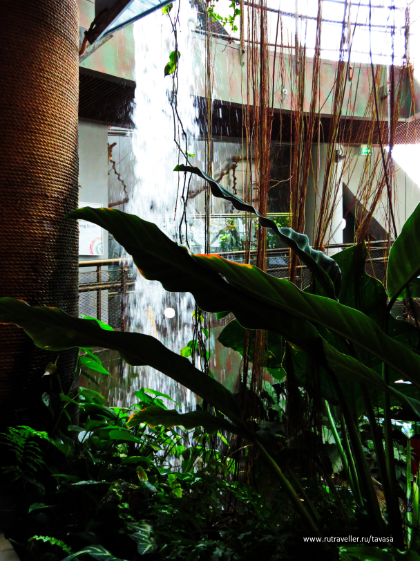 photo 1590459