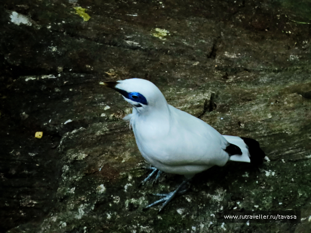 photo 1590662