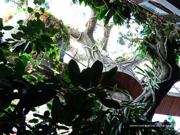 photo 1591649
