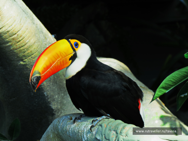 photo 1596365