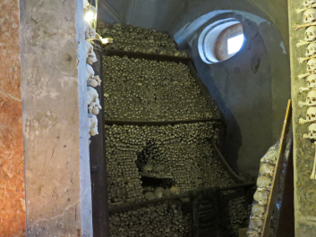 photo 1731786