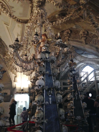 photo 1744654